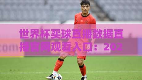 世界杯买球直播数据直播官网观看入口：2026观赛指南与避坑建议
