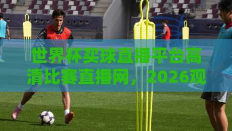 世界杯买球直播平台高清比赛直播网，2026观赛新体验！