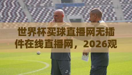 世界杯买球直播网无插件在线直播网，2026观赛新姿势？