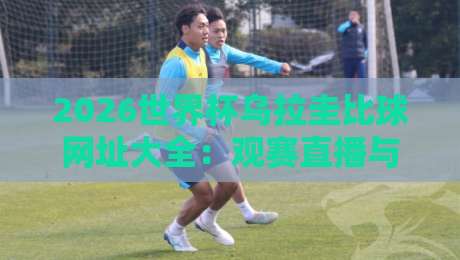 2026世界杯乌拉圭比球网址大全：观赛直播与比分追踪指南
