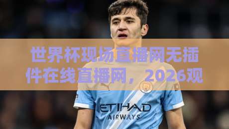 世界杯现场直播网无插件在线直播网，2026观赛新姿势！