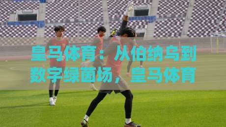 皇马体育:从伯纳乌到数字绿茵场,皇马体育如何重塑全球球迷的参与方式?|网上热门压球站无需登录对比大礼包导航小球粤语解说 皇马体育:从伯纳乌到数字绿茵场,皇马体育如何重塑全球球迷的参与方式?|网上热门压球站无需登录对比大礼包导航小球粤语解说
