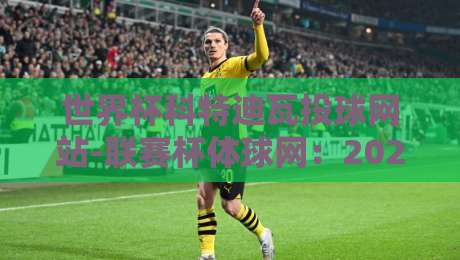 世界杯科特迪瓦投球网站-联赛杯体球网：2026年非洲雄狮的崛起之路