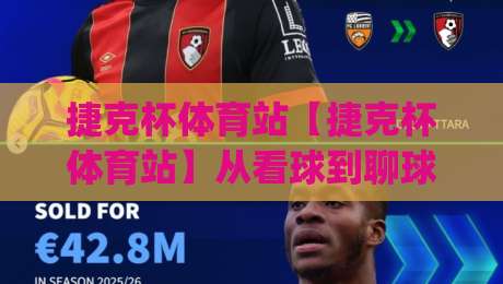 捷克杯体育站【捷克杯体育站】从看球到聊球:一个球迷社区的日常温度与信息效率|线上十大最稳体育网排行信号赔率升盘在线看评级
