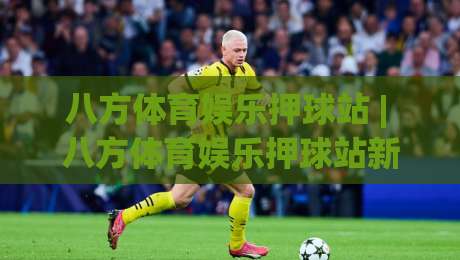 八方体育娱乐押球站 | 八方体育娱乐押球站新手指南:从界面逻辑到场景化预判的进阶思路|线上十大最稳进球网全场回放投屏赛程投注录像回放策略