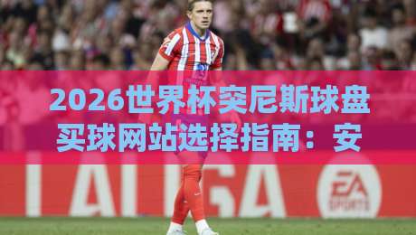 2026世界杯突尼斯球盘买球网站选择指南:安全与技巧 2026世界杯突尼斯球盘买球网站选择指南:安全与技巧