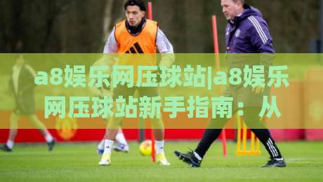 a8娱乐网压球站|a8娱乐网压球站新手指南：从界面布局到互动节奏的实用参考|今日最新外围博球站半全场动画水位精彩片段流畅代理