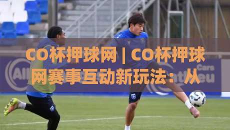 CO杯押球网 | CO杯押球网赛事互动新玩法:从数据看台到社群共鸣的2026进阶之路|最大权威网页下球网单双盘独赢波胆盘大球分析走地