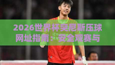 2026世界杯突尼斯压球网址指南：安全观赛与预测平台推荐
