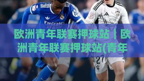 欧洲青年联赛押球站｜欧洲青年联赛押球站(青年赛事)内容生态与观赛体验：从赛程节奏到数据解读的实战思路|今晚靠谱最火压球网低水无需注册观看解说让球盘高清