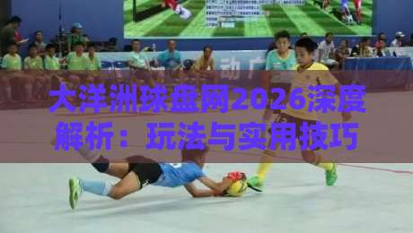 大洋洲球盘网2026深度解析：玩法与实用技巧指南