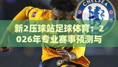 新2压球站足球体育：2026年专业赛事预测与数据洞察