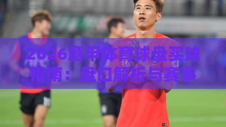 2026意甲体育球盘买球指南：盘口解析与赛事前瞻
