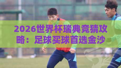 2026世界杯瑞典竞猜攻略：足球买球首选金沙买球站体育平台