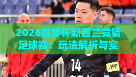 2026世界杯新西兰竞猜足球赛：玩法解析与实战投注技巧