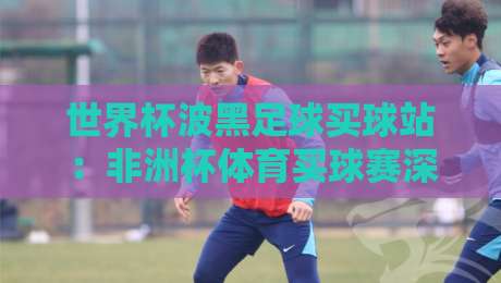 世界杯波黑足球买球站：非洲杯体育买球赛深度解析与实用指南