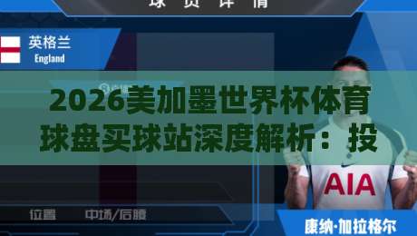 2026美加墨世界杯体育球盘买球站深度解析：投注策略与风险提示