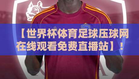 【世界杯体育足球压球网在线观看免费直播站】！2026年球迷必备的高清观赛指南