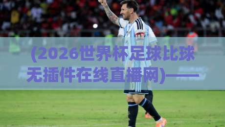 (2026世界杯足球比球无插件在线直播网)——告别卡顿与广告，真正的纯净观赛体验
