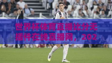 世界杯体育直播比分无插件在线直播网,2026年球迷必备的看球神器! 世界杯体育直播比分无插件在线直播网,2026年球迷必备的看球神器!